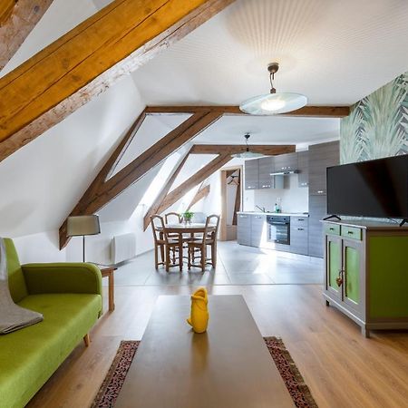 Le Rhenanus Jacques Spiegel - Ideal Pour Un Couple - Appartement Au Calme - Parking Gratuit Sélestat Eksteriør bilde