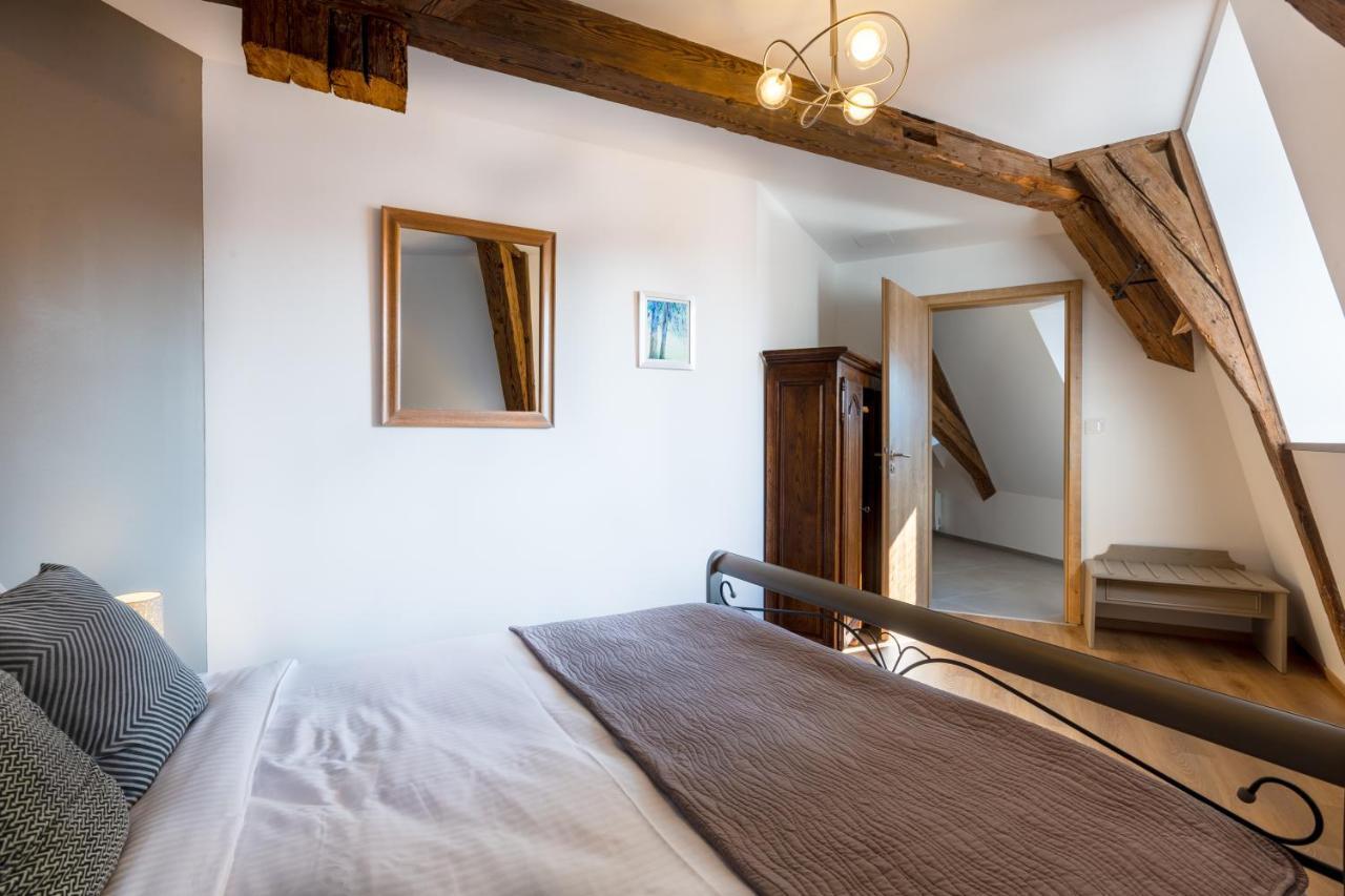 Le Rhenanus Jacques Spiegel - Ideal Pour Un Couple - Appartement Au Calme - Parking Gratuit Sélestat Eksteriør bilde